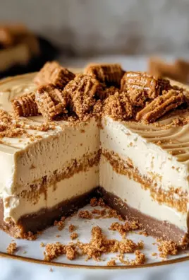 No Bake Biscoff Cheesecake